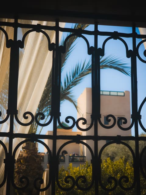 Palm tree through a wrought-iron window