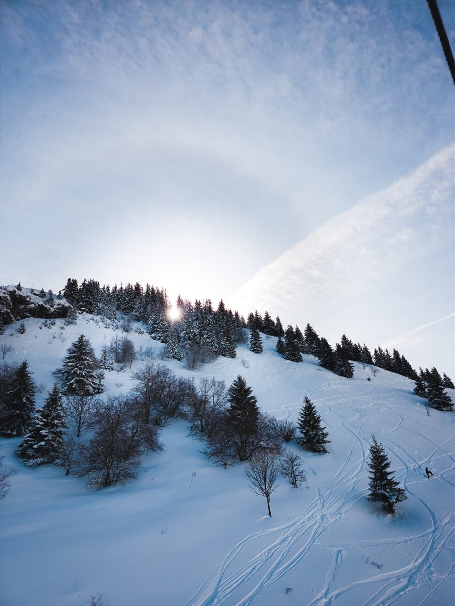 Sun behind a snowy forest slope